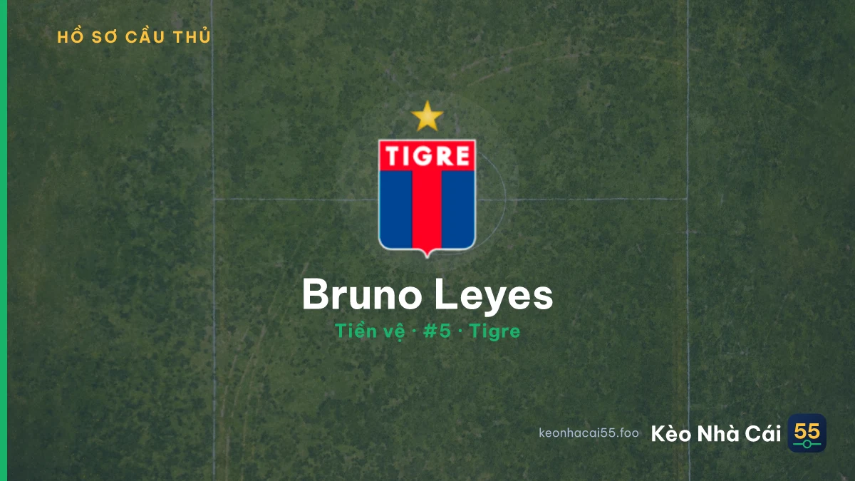 Bruno Leyes — Tigre