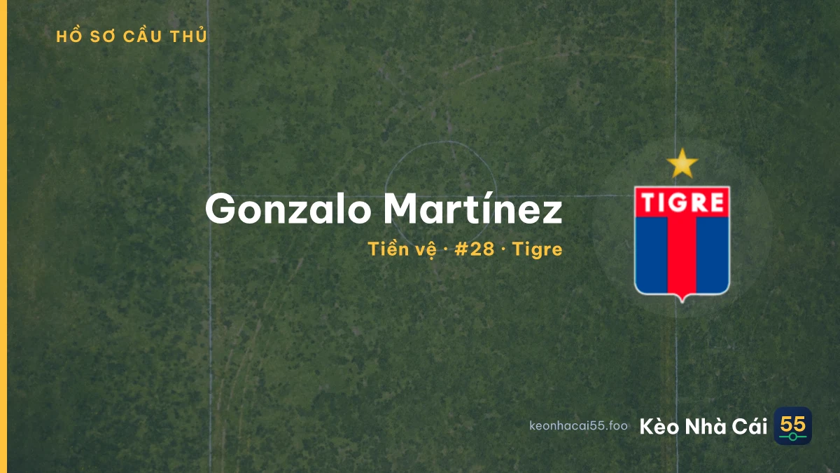 Gonzalo Martínez — Tigre
