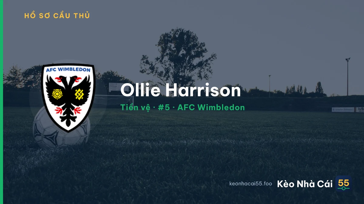 Ollie Harrison — AFC Wimbledon