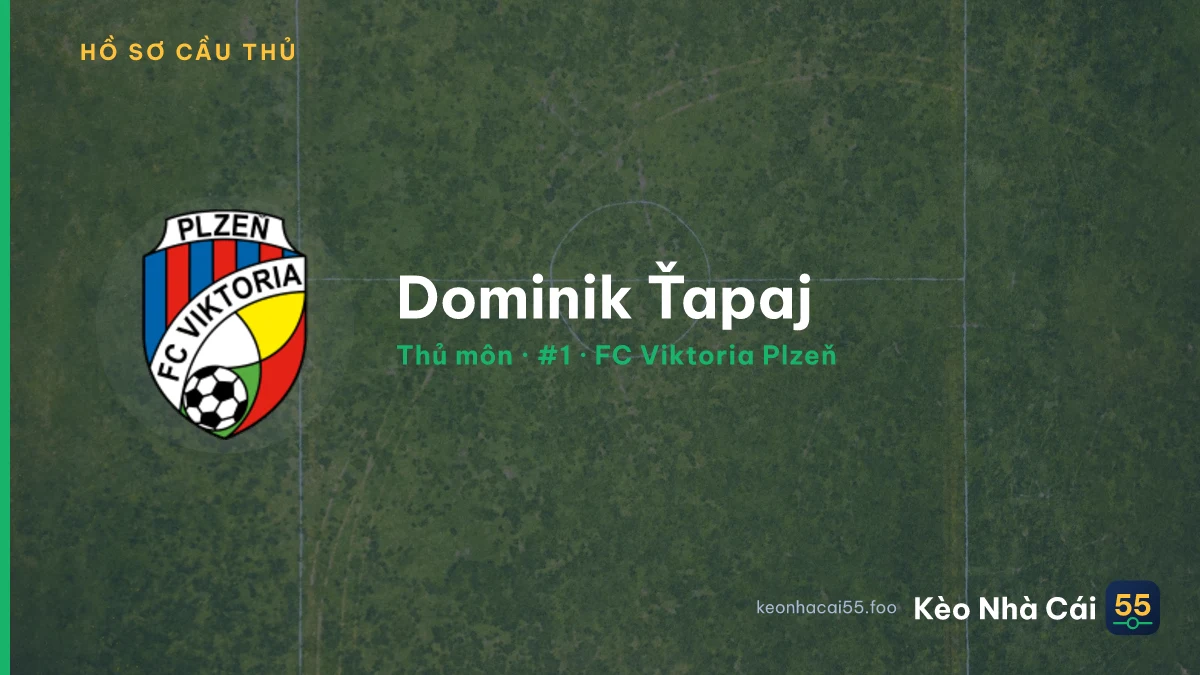 Dominik Ťapaj — FC Viktoria Plzeň