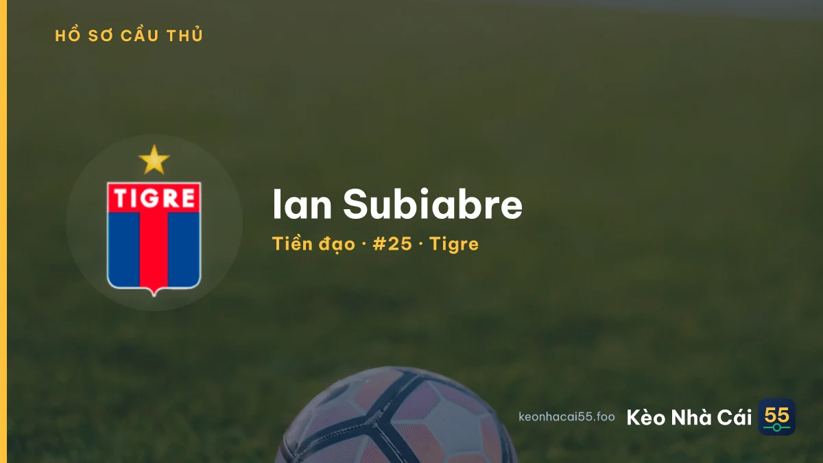 Ian Subiabre — Tigre