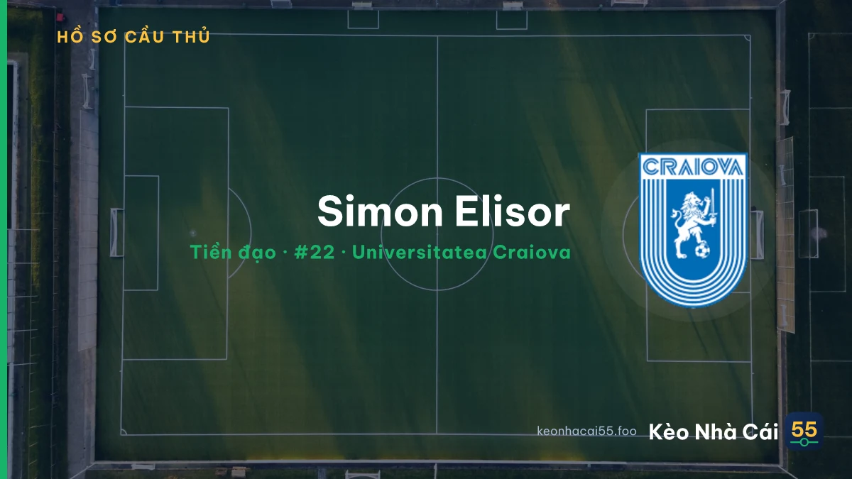 Simon Elisor — Universitatea Craiova