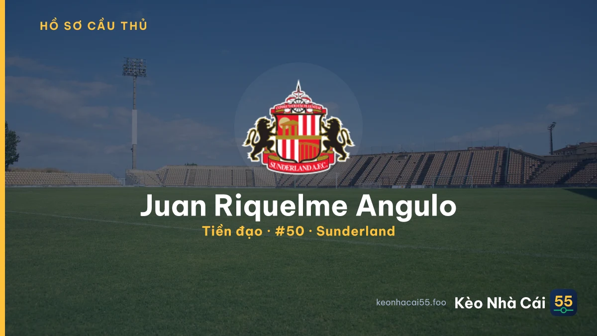 Juan Riquelme Angulo — Sunderland