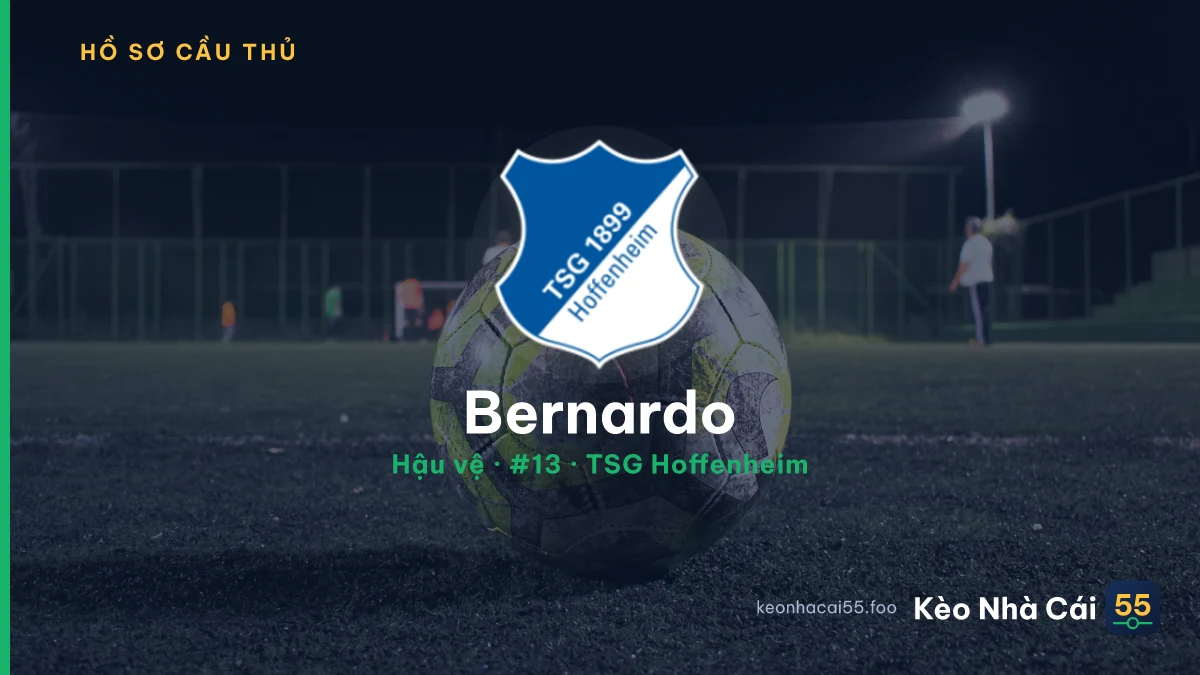 Bernardo — TSG Hoffenheim