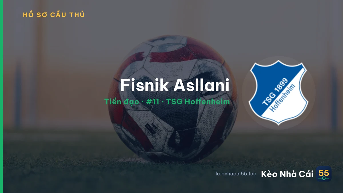 Fisnik Asllani — TSG Hoffenheim