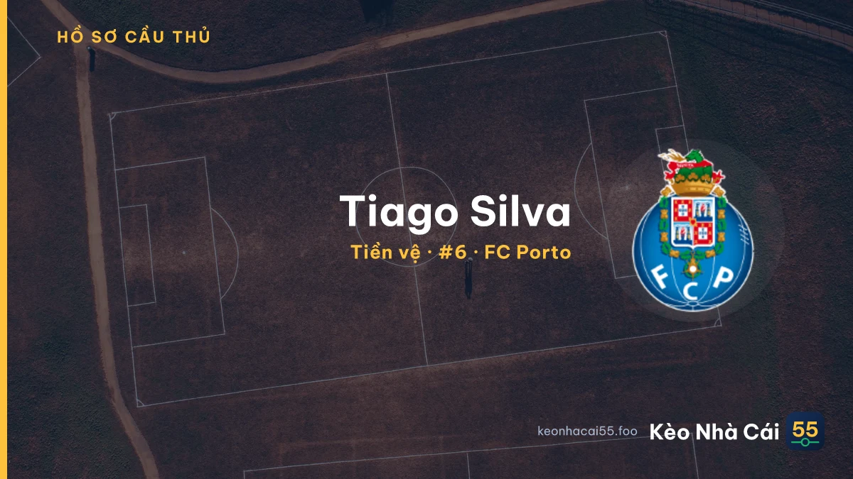 Tiago Silva — FC Porto