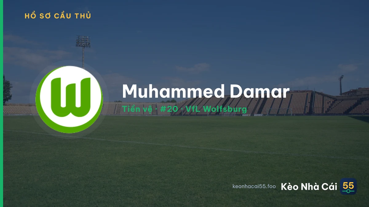 Muhammed Damar — VfL Wolfsburg