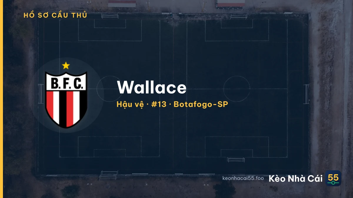 Wallace — Botafogo-SP