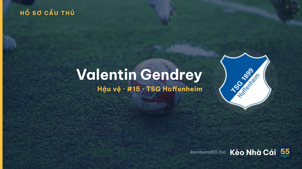 Valentin Gendrey — TSG Hoffenheim