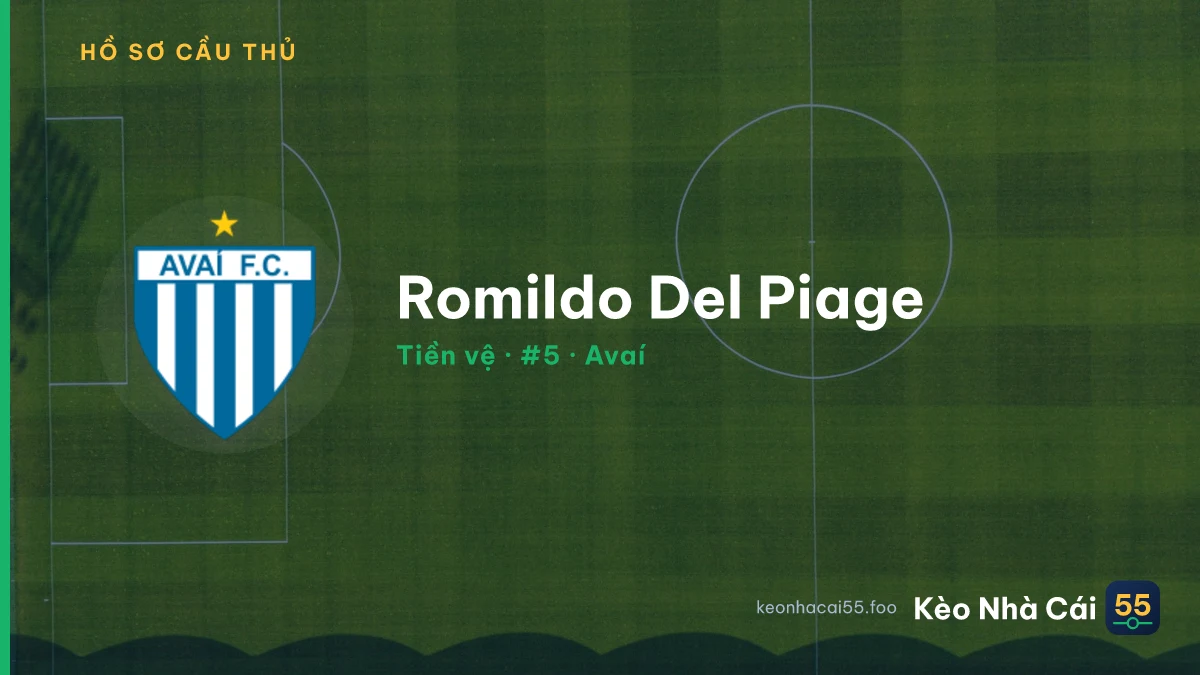 Romildo Del Piage — Avaí