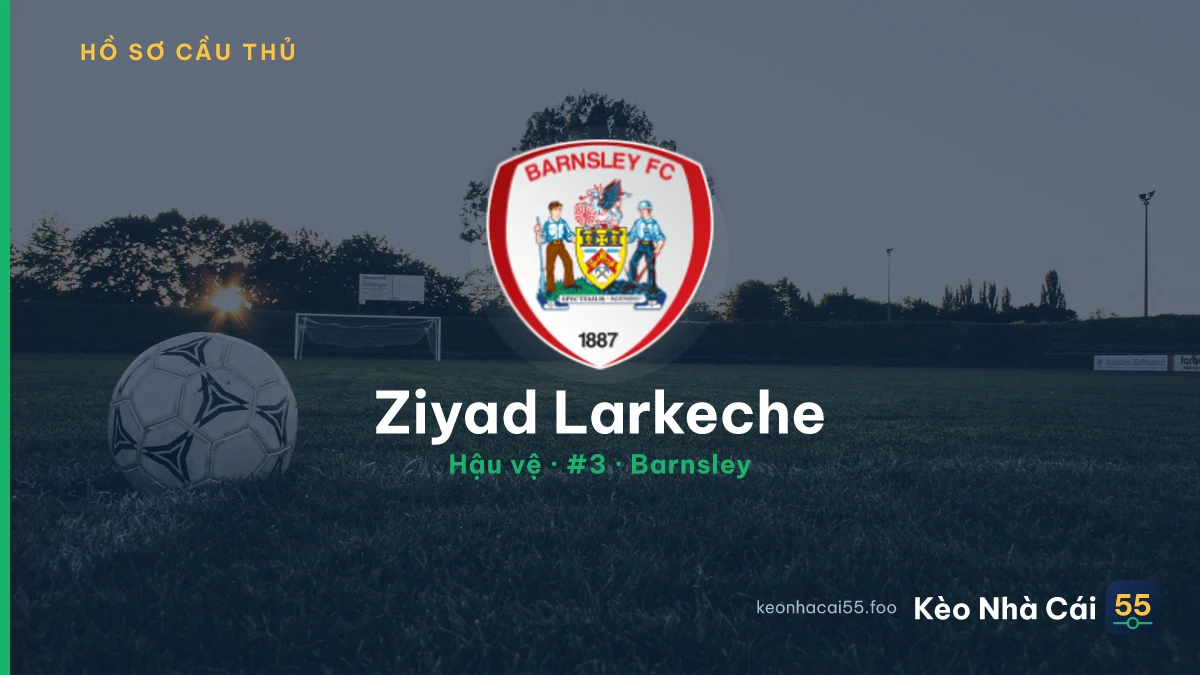 Ziyad Larkeche — Barnsley