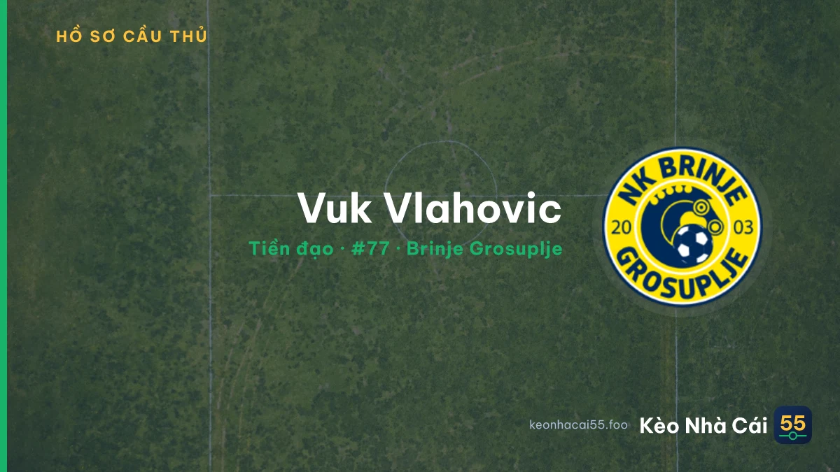 Vuk Vlahovic — Brinje Grosuplje