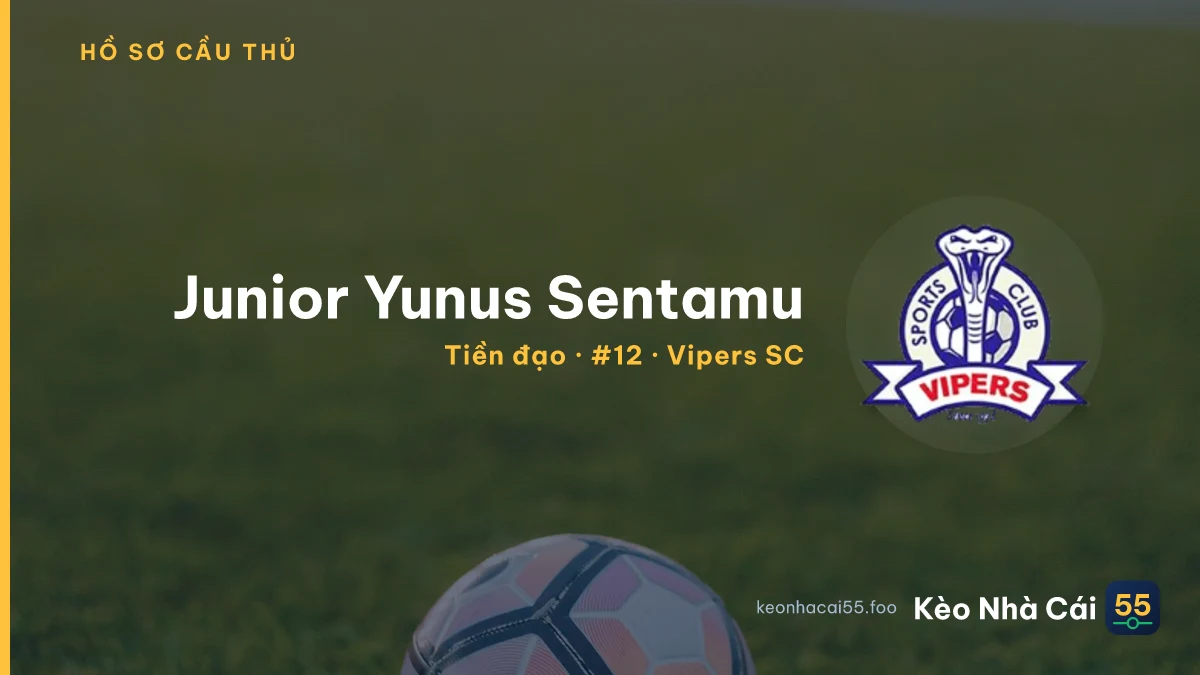 Junior Yunus Sentamu — Vipers SC