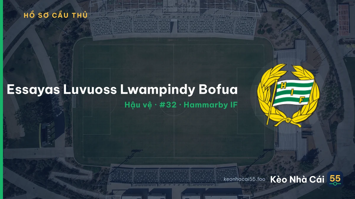 Essayas Luvuoss Lwampindy Bofua — Hammarby IF