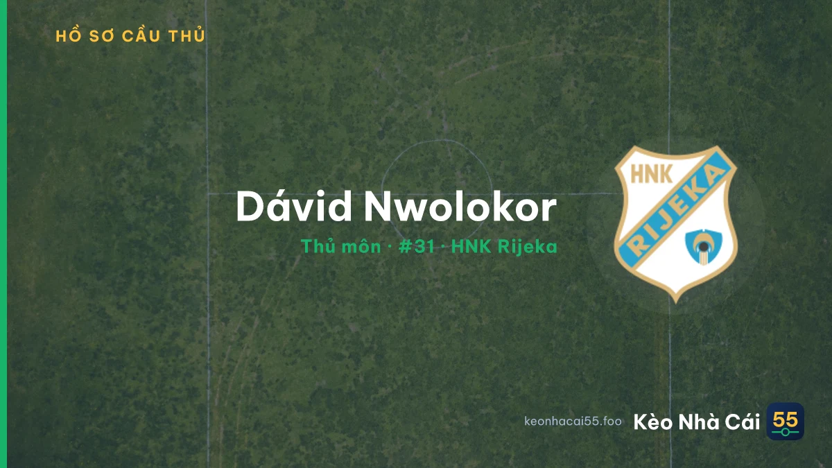 Dávid Nwolokor — HNK Rijeka