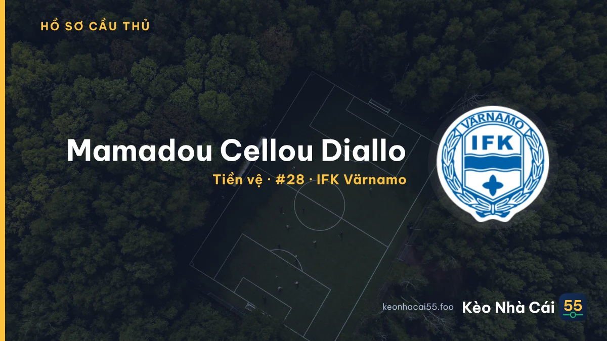 Mamadou Cellou Diallo — IFK Värnamo