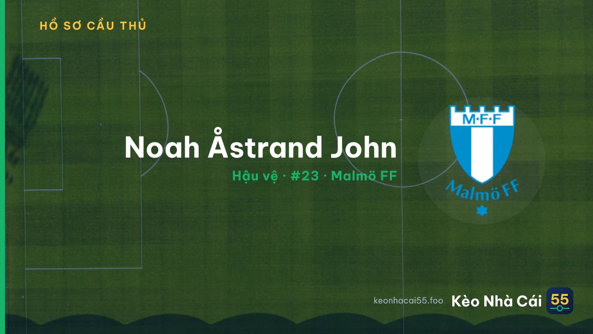 Noah Åstrand John — Malmö FF