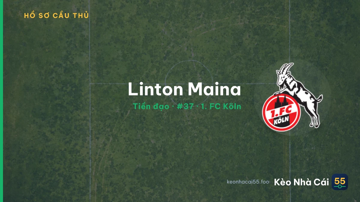 Linton Maina — 1. FC Köln