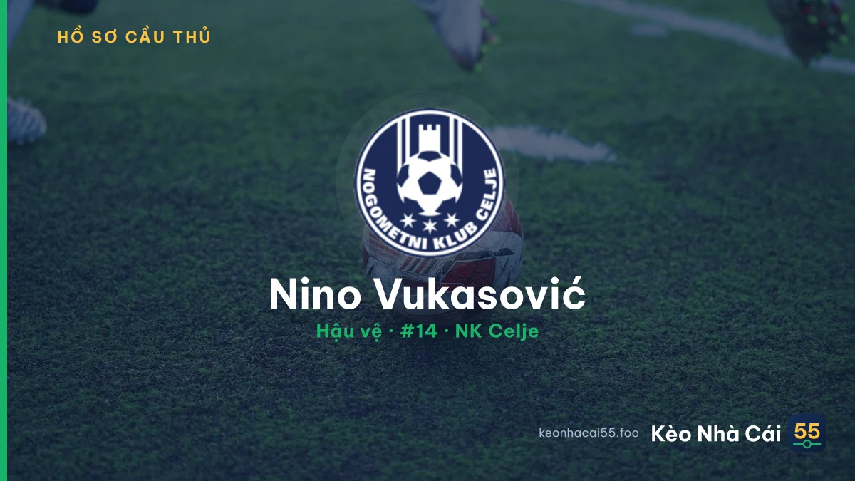 Nino Vukasović — NK Celje