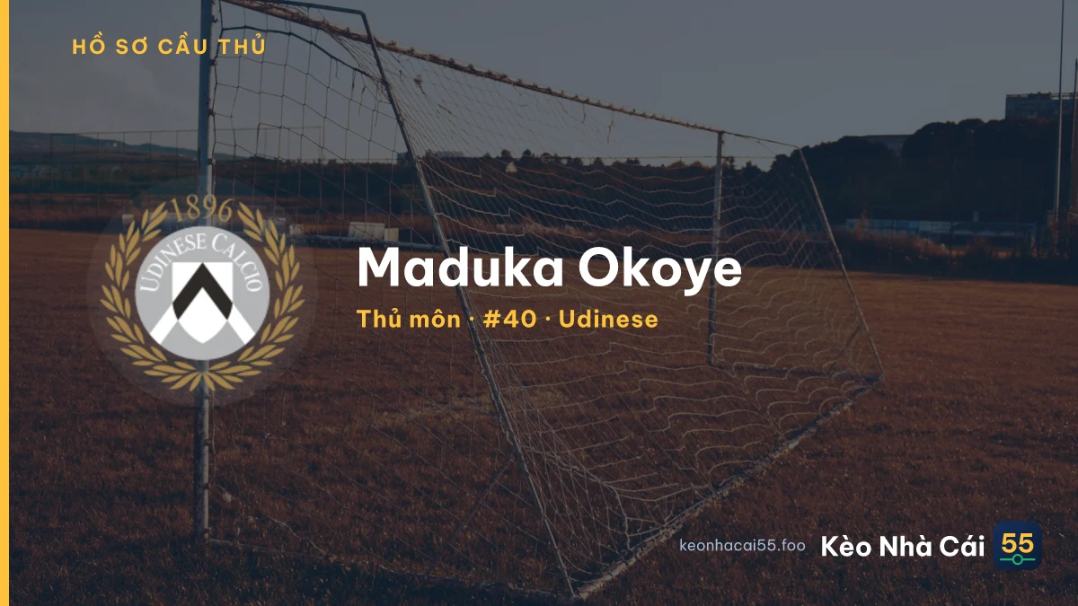 Maduka Okoye — Udinese
