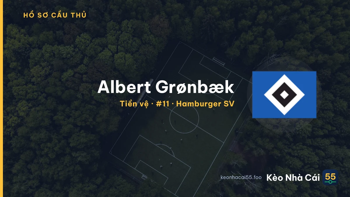 Albert Grønbæk — Hamburger SV