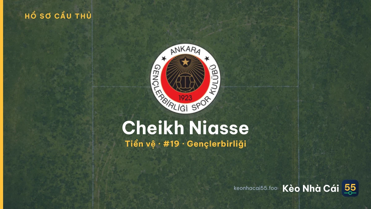 Cheikh Niasse — Gençlerbirliği