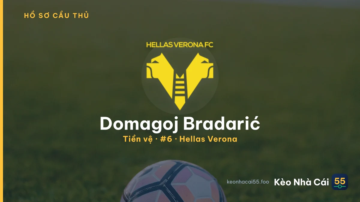 Domagoj Bradarić — Hellas Verona