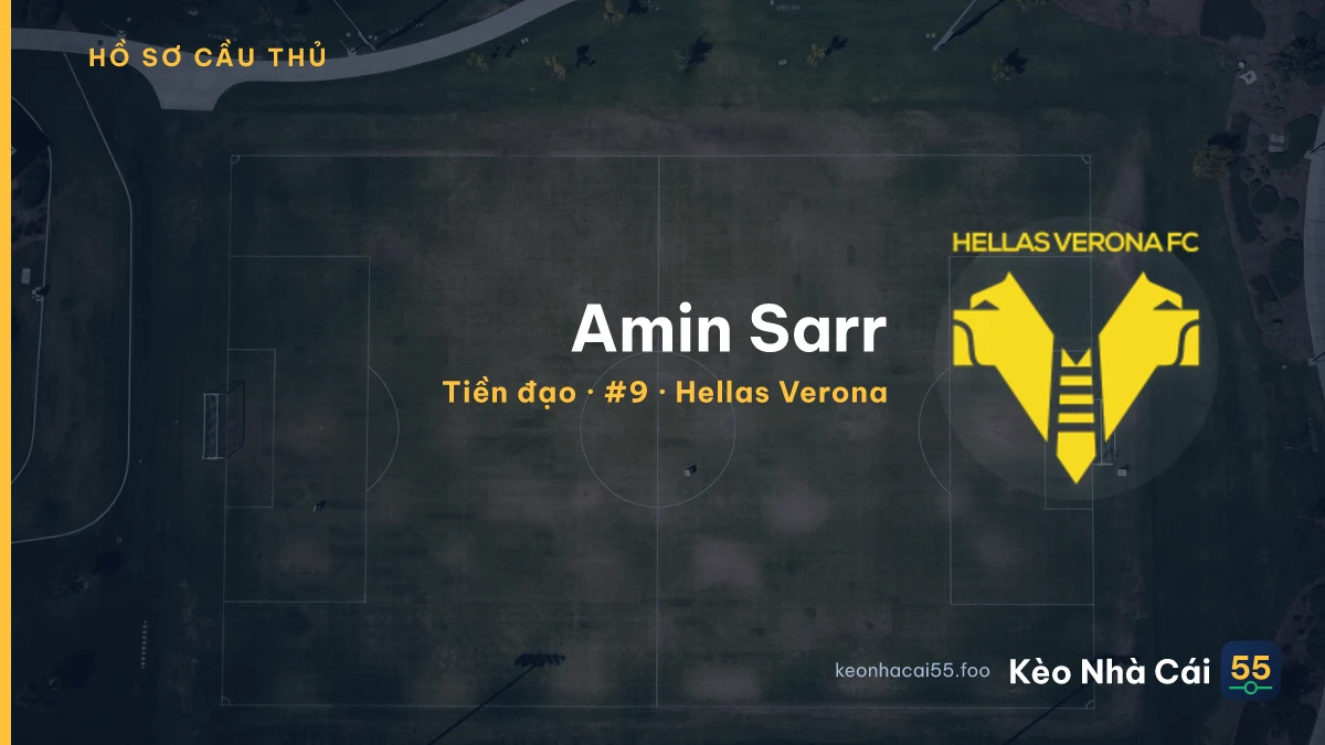 Amin Sarr — Hellas Verona