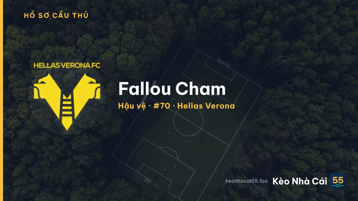 Fallou Cham — Hellas Verona