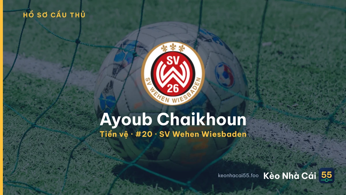 Ayoub Chaikhoun — SV Wehen Wiesbaden