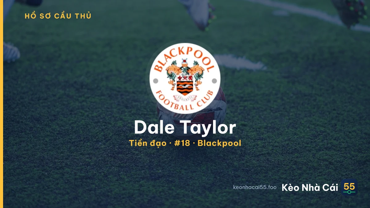 Dale Taylor — Blackpool