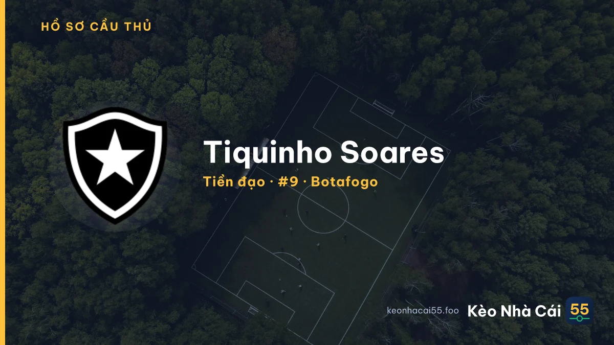 Tiquinho Soares — Botafogo