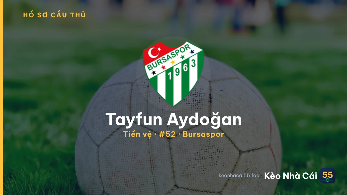 Tayfun Aydoğan — Bursaspor