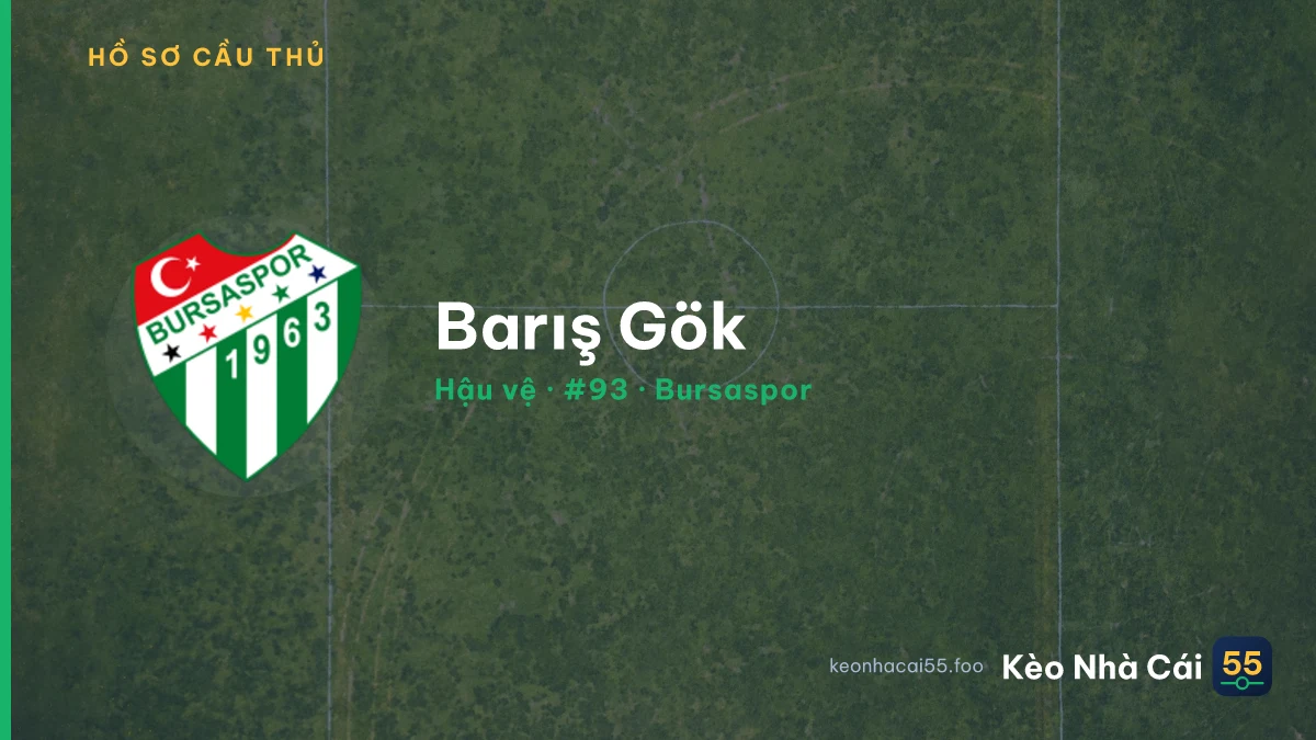 Barış Gök — Bursaspor