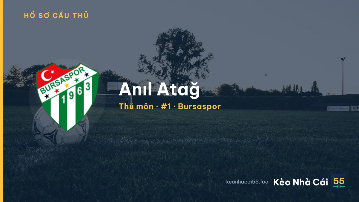 Anıl Atağ — Bursaspor