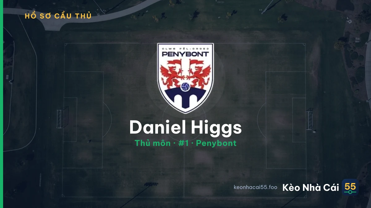Daniel Higgs — Penybont