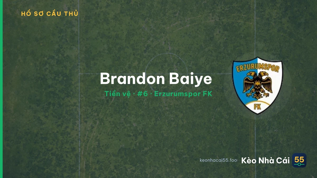 Brandon Baiye — Erzurumspor FK