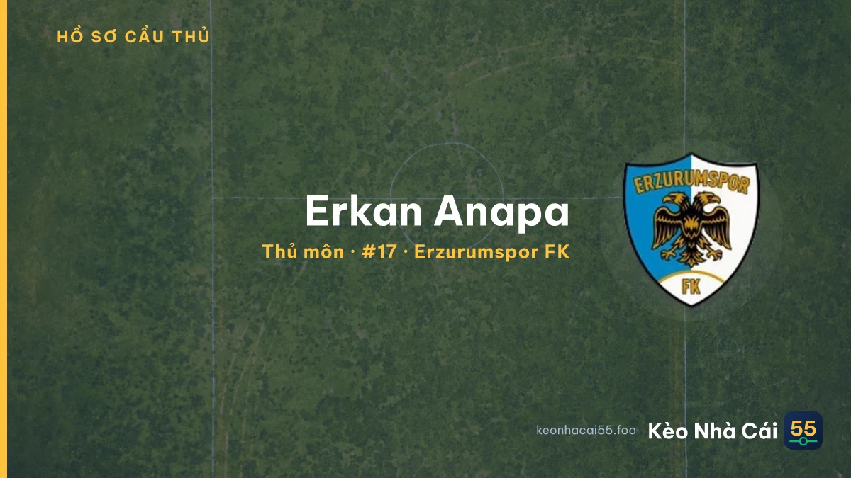 Erkan Anapa — Erzurumspor FK