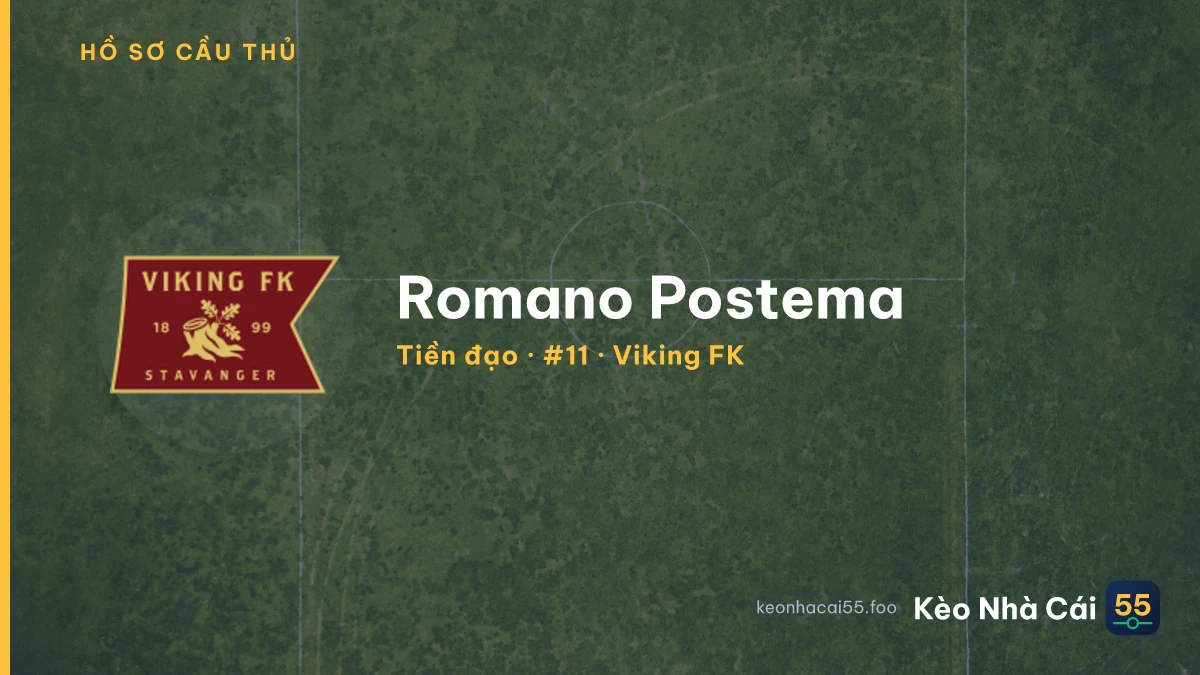Romano Postema — Viking FK