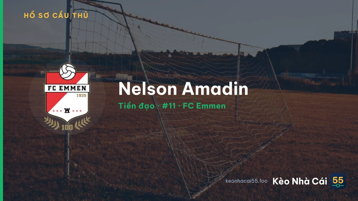 Nelson Amadin — FC Emmen