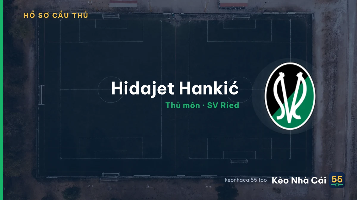 Hidajet Hankić — SV Ried