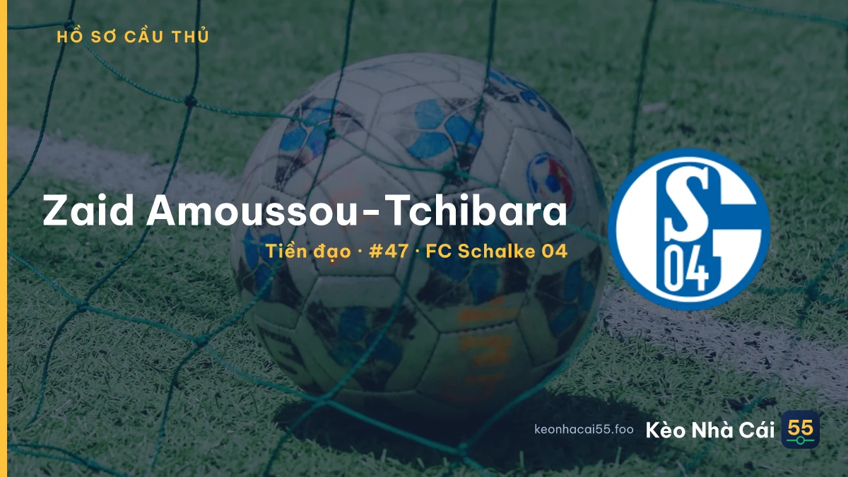 Zaid Amoussou-Tchibara — FC Schalke 04