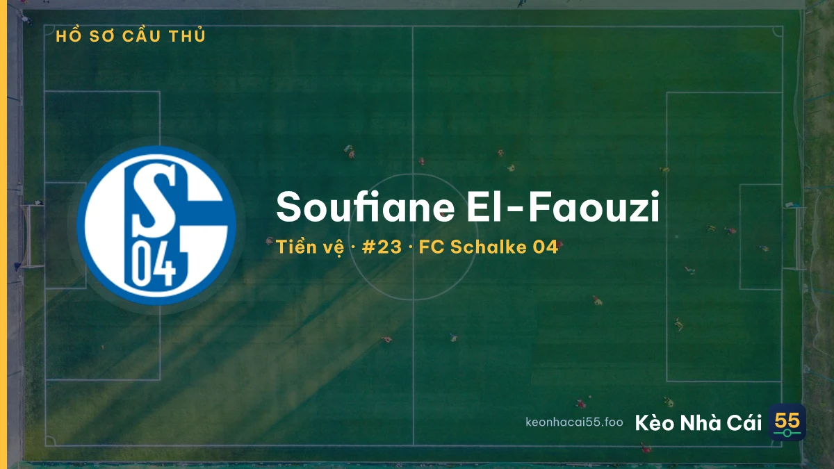 Soufiane El-Faouzi — FC Schalke 04