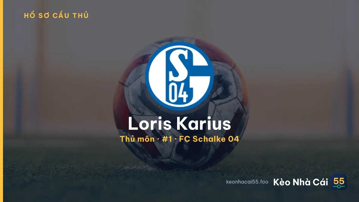 Loris Karius — FC Schalke 04