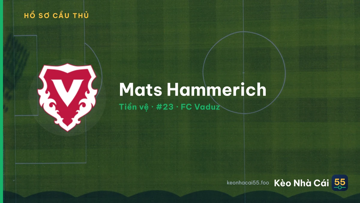 Mats Hammerich — FC Vaduz