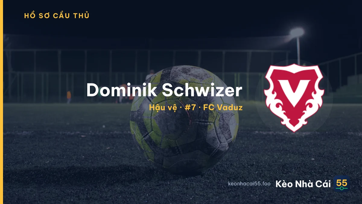 Dominik Schwizer — FC Vaduz