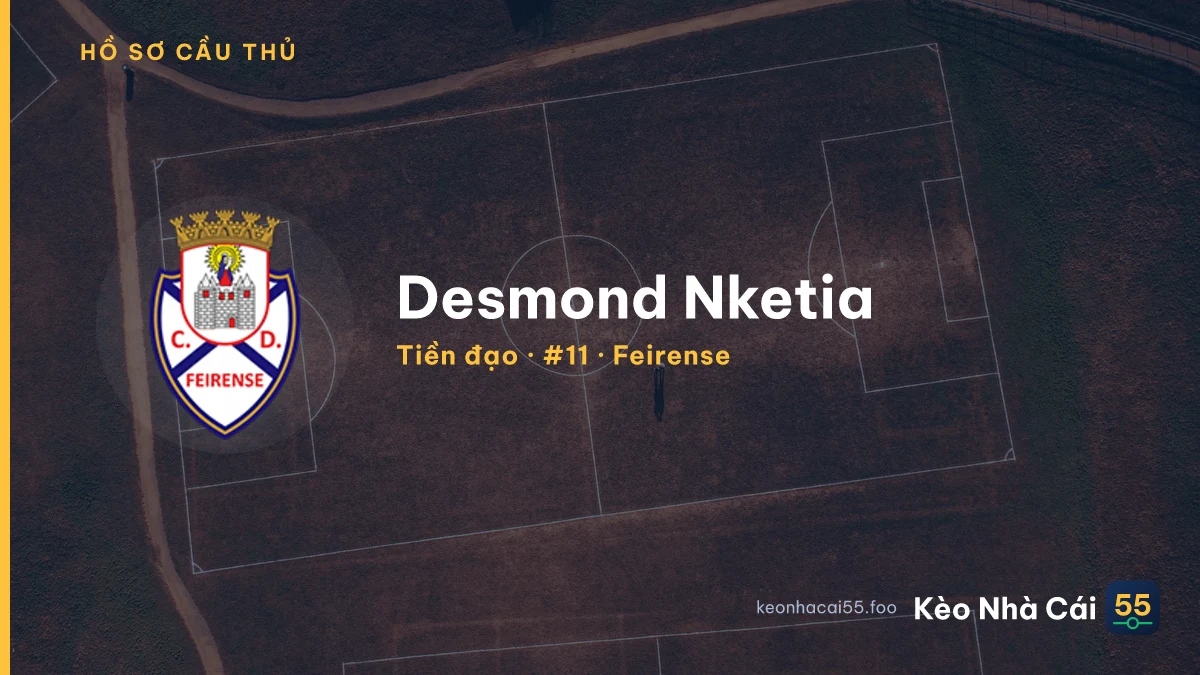 Desmond Nketia — Feirense