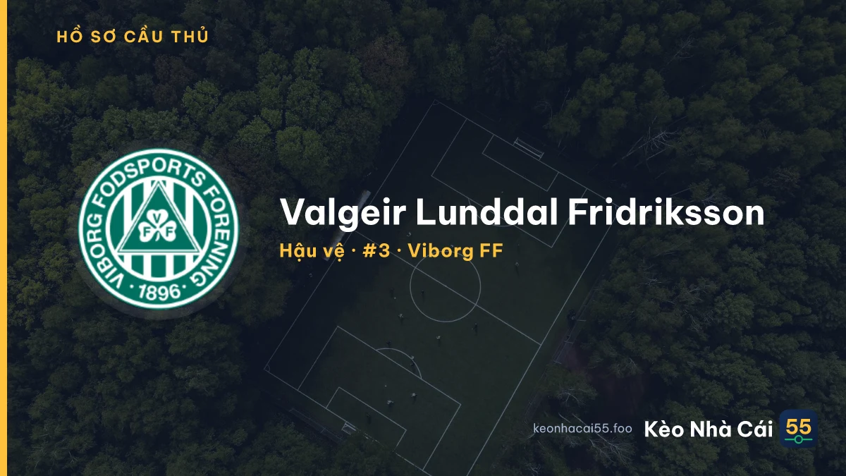 Valgeir Lunddal Fridriksson — Viborg FF