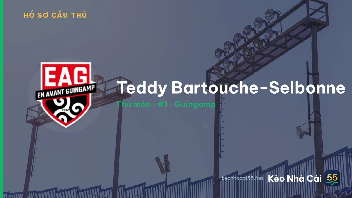 Teddy Bartouche-Selbonne — Guingamp