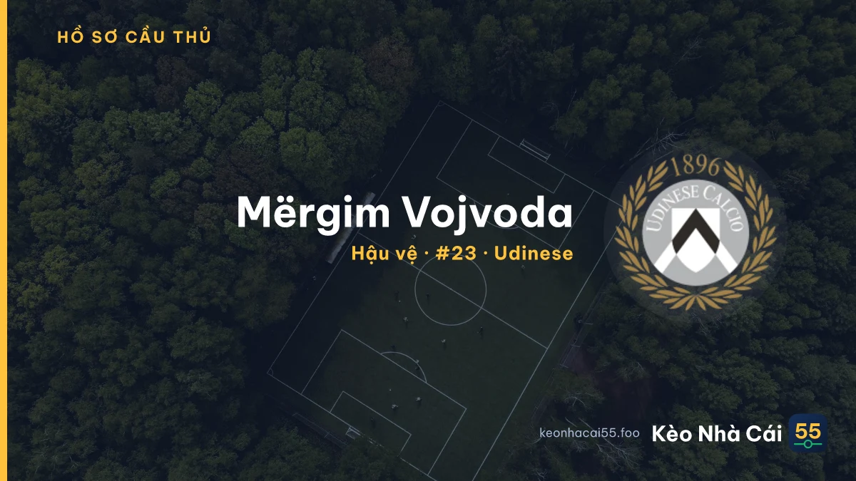 Mërgim Vojvoda — Udinese